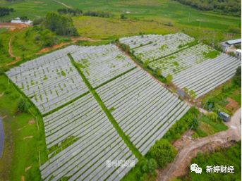 廣東惠州市源茵生態(tài)園生態(tài)園健康綠色之旅