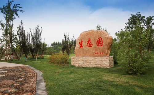 邯鄲這個(gè)地方出名了 黑色礦渣山逆襲成 綠富美 生態(tài)園