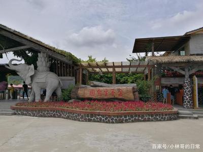 廣東佛山高明盈香生態園