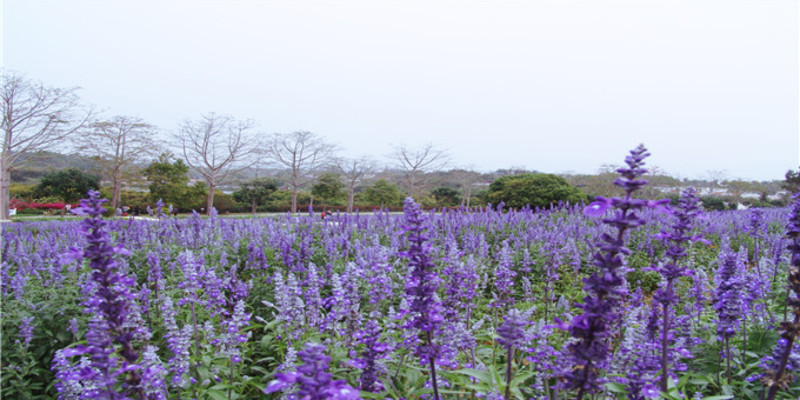 永記生態(tài)園門票價格-永記生態(tài)園門票預訂-永記生態(tài)園