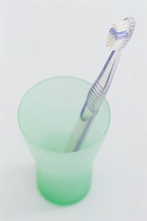 生活日用品素材全攻略 從圖片、背景到模板的一站式解決方案